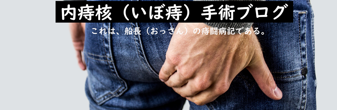 内痔核(いぼ痔(ぢ))手術を経験した痔闘病記 内痔核(いぼ痔(ぢ))手術を経験した痔闘病記
